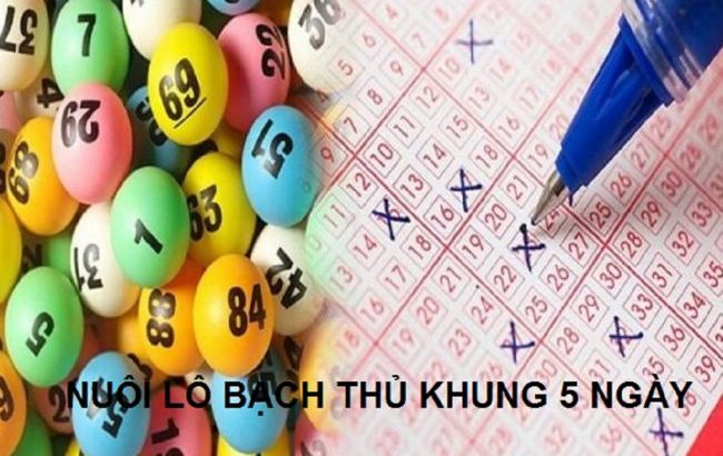 nuôi lô bạch thủ khung 5 ngày